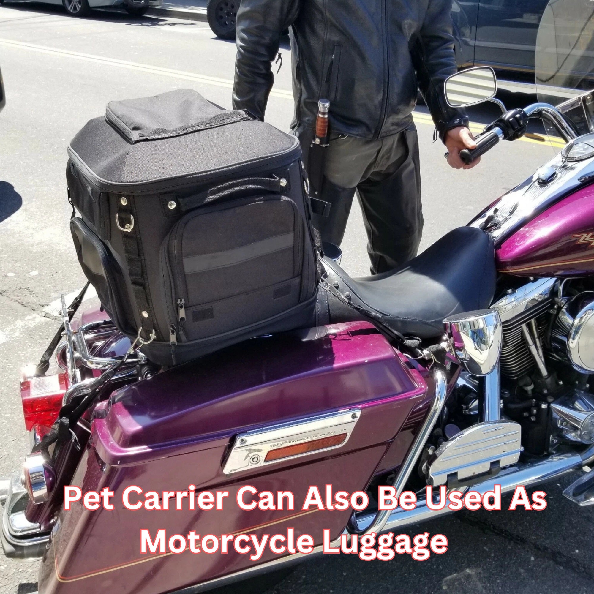 Moto-Pet Deluxe Motorcycle Pet Carrier - Compare to Kuryakyn & Save Big $$