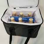 Rigid Sissy Bar / Luggage Rack Bag with Cooler Insert - DS340